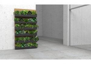 Ściana stworzona z roślin doniczkowych.