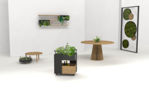 Aranżacja mebli z roślinami