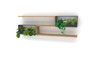 Rośliny w kwietnikach