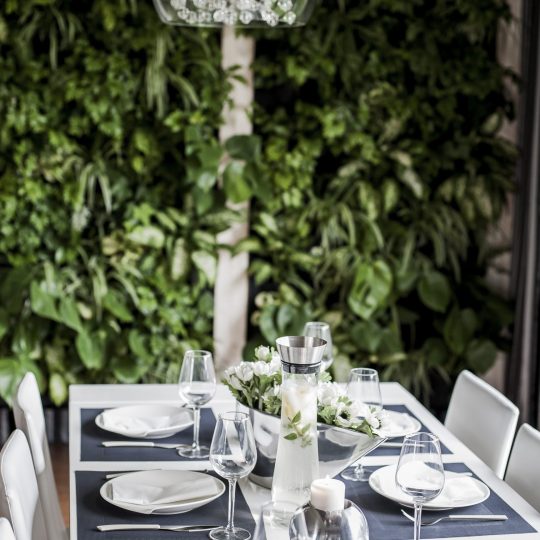 Rośliny do restauracji