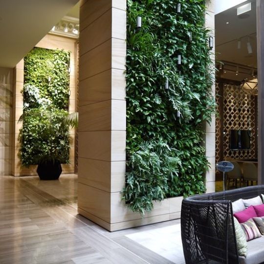 Zielona ściana z roślin w przestrzeni pracowniczej