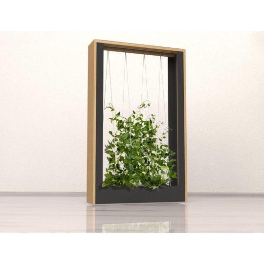 Przepierzenie, czyli roślina w aranżacji mobilnej - na kółkach.